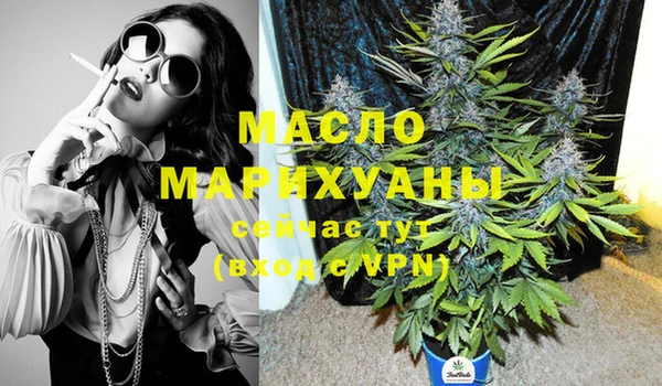 индика Кулебаки